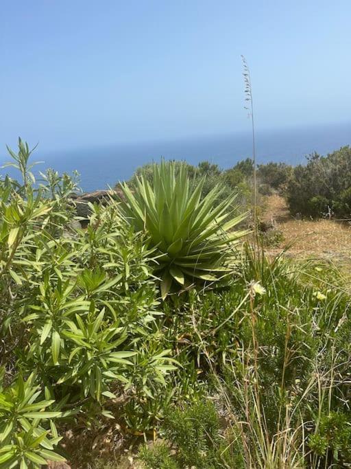 Dammuso Masdar Al Sorgere Del Sole Villa Pantelleria Exteriör bild