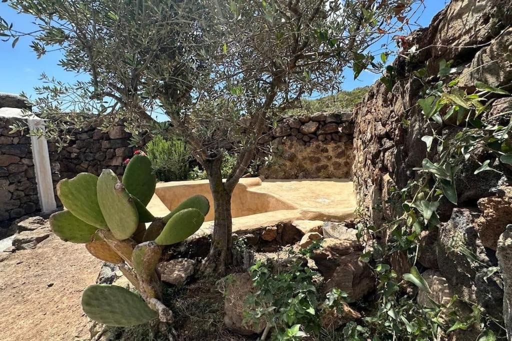 Dammuso Masdar Al Sorgere Del Sole Villa Pantelleria Exteriör bild